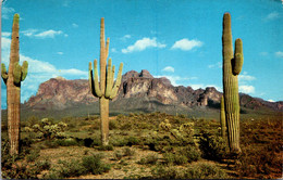 Arizona Mesa Superstition Mountains And Giant Saguaro Cactus - Mesa