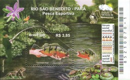 BRAZIL #3600  -  RIVER SÃO BENEDITO -  FISH TUCUNARE -  SPORT  FISHING - 2009  - Mint - Ungebraucht