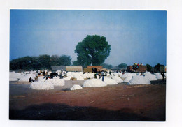 CP Utilisée. Tchad, Grand Marché De Coton Près De Moundou. Printed In Switzerland. Chad. Africa Afrique - Ciad