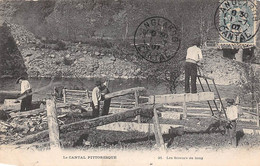 Non Localisé. Auvergne. Cantal      15       Les Scieurs De Long    N° 21       (Voir Scan) - Autres & Non Classés