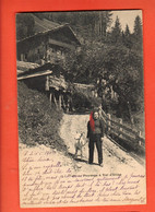 ZBB-04 Paysage à Val D'Illiez Avec Sa Chèvre. Foulard Rouge. Circulé En 1902, Jullien - Val-d'Illiez 