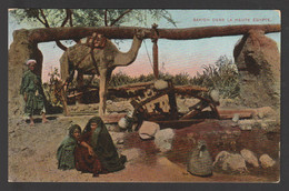 Egypt - Rare - Vintage Post Card - Sakieh In Upper Egypt - Covers & Documents