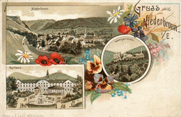 Gruss Aus Niederbrnn I/e * 1919 - Niederbronn Les Bains