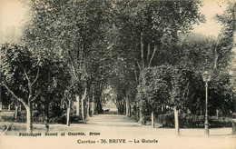 Brive * La Guierle * Allée - Brive La Gaillarde