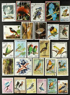 BIRDS 1900's-2000's WORLD USED COLLECTION On Stock Pages With The Strength In 1960's To 1990's Issues , Seems To Be All  - Sin Clasificación