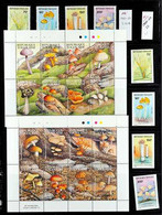 MUSHROOMS (FUNGI) TOGO 1986-2014 superb Never Hinged Mint Collection On Stock Pages, All Different, Includes 1986 Perf & - Sin Clasificación