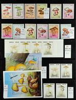 MUSHROOMS (FUNGI) AFRICA 1980's-2010's superb Never Hinged Mint Collection On Stock Pages, All Different, Includes Alger - Sin Clasificación