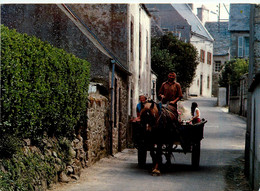 Ile De Batz * En Route Pour Les Champs * Charette - Ile-de-Batz