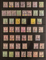 JOHORE 1891-1981 ALL DIFFERENT FINE USED Collection On Stockleaves. Note 1891-94 Complete Set, 1894 Surcharges Set, 1896 - Otros & Sin Clasificación