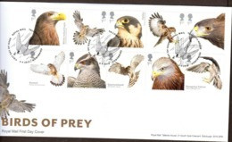 GROSSBRITANNIEN GRANDE BRETAGNE  GB 2019 BIRDS OF PREY SET OF 10V FDC SG 4200-09 MI 4369-78 YT 4781-90 SC 3831-40 - 2011-2020 Em. Décimales