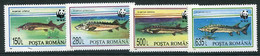 ROMANIA 1994 Sturgeons MNH / **.  Michel 5034-37 - Nuovi