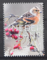 D(B) 191 ++ NETHERLANDS 2020 8/10 BIRDS VOGELS OISEAUX VÖGEL MNH ** - Zonder Classificatie