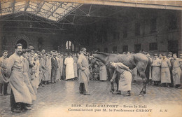 94-MAISON-ALFORT-ECOLE D'ALFORT- SOUS LE HALL , CONSULTATION PAR M. LE PROFESSEUR CADIOT - Maisons Alfort