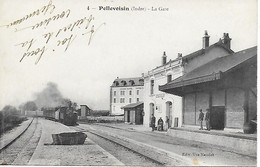 36  - PELLEVOISIN - TRAIN En Gare Ligne Le Blanc Argent Voie Métrique - Edit. Veuve Naudet T.B.E. - Andere Gemeenten