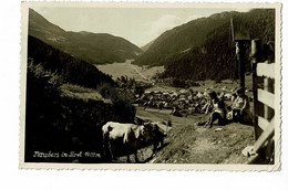 Naudeurs In Tyrol 1400 M - Enfants Avec Boeuf, Calvaire) Circulé 1953, Timbre Décollé - Nauders