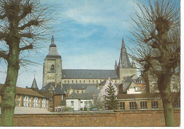 Soignies (poul - Soignies