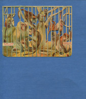 Superbe Chromo Decoupis Zoo Cage Singe Pickpocket SINGES Pomme Vol - Animaux