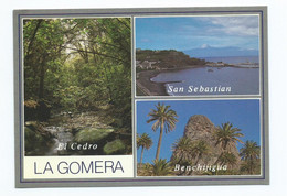 EL CEDRO - SAN SEBASTIAN - BENCHIJIGUA - LA GOMERA / ISLAS CANARIAS.- ( ESPAÑA ) - Gomera