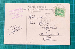 Suisse - Valais - N°Z 103 - Cas Gornergrat 1908 + Cachet "le Plus Haut Bureau De Poste D 'Europe" - - Andere & Zonder Classificatie