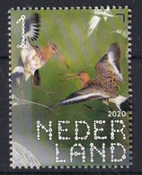 Nederland - Beleef De Natuur - Boerenlandvogels - Grutto - MNH - NVPH 3826 - Andere