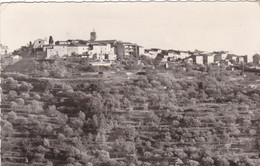 83. MONTAUROUX.  VUE GENERALEL. ANNÉE 1961 + TEXTE - Montauroux