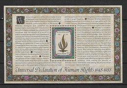 ONU - Nations Unies - New York -  1988 -N° Yvert  537 Et BF 10 Bloc-feuillet - Neufs** - Déclaration Droits Homme - - Unused Stamps