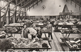 N°5159 R -cpsm Aalsmeer -interieur Van Een Zaal Der Veilin Bloemenlust - Aalsmeer