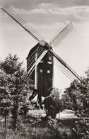 Delcampe - N°5170 R -cpsm Den Broam Buurse -Stenderkast Molen- - Windmühlen