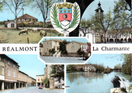 REALMONT  LA CHARMANTE - Realmont