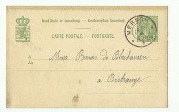 E.P. Carte 5 Centimes Obl. Dc MERSCH Du 24/06/1905  Vers Birtrange - 16275 - Postwaardestukken