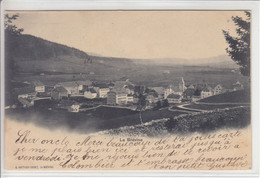 LA BREVINE - VUE GENERALE - DOS UNIQUE - 5.08.02 - La Brévine