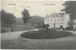 Auderghem  Château Wauquiez - Autres