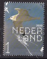 Nederland - Beleef De Natuur - Kustvogels - Drieteenmeeuw - MNH - NVPH 3853 - Seagulls