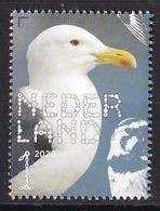 Nederland - Beleef De Natuur - Kustvogels - Grote Mantelmeeuw - MNH - NVPH 3854 - Seagulls