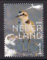 Nederland - Beleef De Natuur - Kustvogels - Strandplevier - MNH - 3858 - Altri