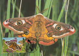 Guernsey 1997 Maxicard Sc #588 26p Emperor Moth WWF - Guernsey