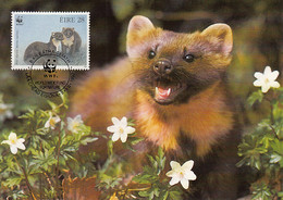 Ireland 1992 Maxicard Sc #868 28p Pine Martens WWF - Maximumkarten