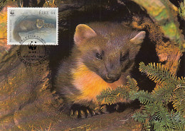 Ireland 1992 Maxicard Sc #870 44p Pine Martens WWF - Cartes-maximum