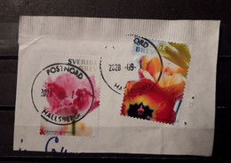 Sweden Svezia 2019 Flowers 2 Stamps Used - Other & Unclassified