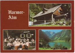 Harmer-Alm Am Schwarzensee, 1200 M - Musikkapelle -  Naturpark Kleinsölktal - Gröbming