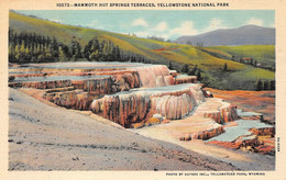 Yellowstone National Park, Mammoth Hot Springs Terraces - Yellowstone