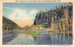 Yellowstone National Park, Obsidian Cliff And Beaver Lake - Yellowstone