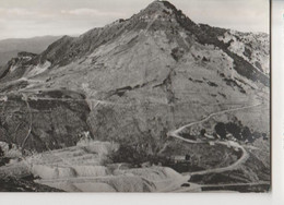 CARRARA SOCIETA WALTON.STRADA PRIVATA.PANORAMA Viaggiata.NO-1955- FP-mt-7138 - Carrara