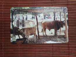 Phonecad Gambia Ndama Catle 125 Used   Rare - Gambia