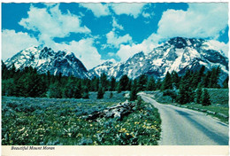 Wild Flowers & Mount Moran In Grand Teton National Park, Wyoming - Unused - Autres & Non Classés
