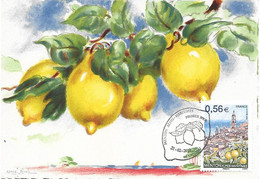 4337 - MENTON - ALPES MARITIMES "ces Citrons..." Sur CP BD 1446H Au 21-02-2009 - RARE - 2000-2009