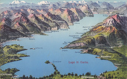 Cartolina -  Lago Di Garda. - Zonder Classificatie