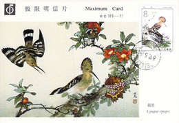 CHINE CARTE Maximum   NUM.YVERT 2535 LES OISEAUX BENEFIQUES -EURASIAN HOOPOE (UPUPA EPOPS) - Maximum Cards