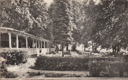 D-15755 Teupitz - Egsdorf  - Kr. Königs Wusterhausen - HOG " Tornows Idyll" - Garten - Teupitz