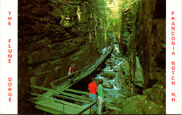 New Hampshire White Mountains Franconia Notch The Flume Gorge - White Mountains